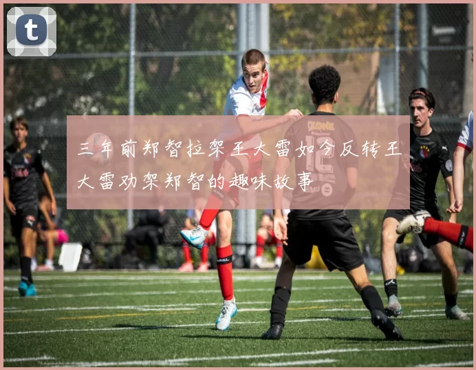 三年前郑智拉架王大雷如今反转王大雷劝架郑智的趣味故事