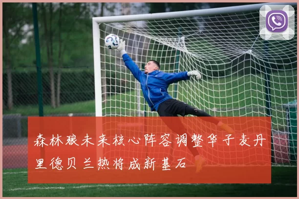 森林狼未来核心阵容调整华子麦丹里德贝兰热将成新基石